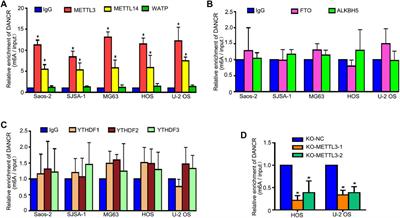 METTL3 Contributes to Osteosarcoma Progression by Increasing DANCR mRNA Stability via m6A Modification